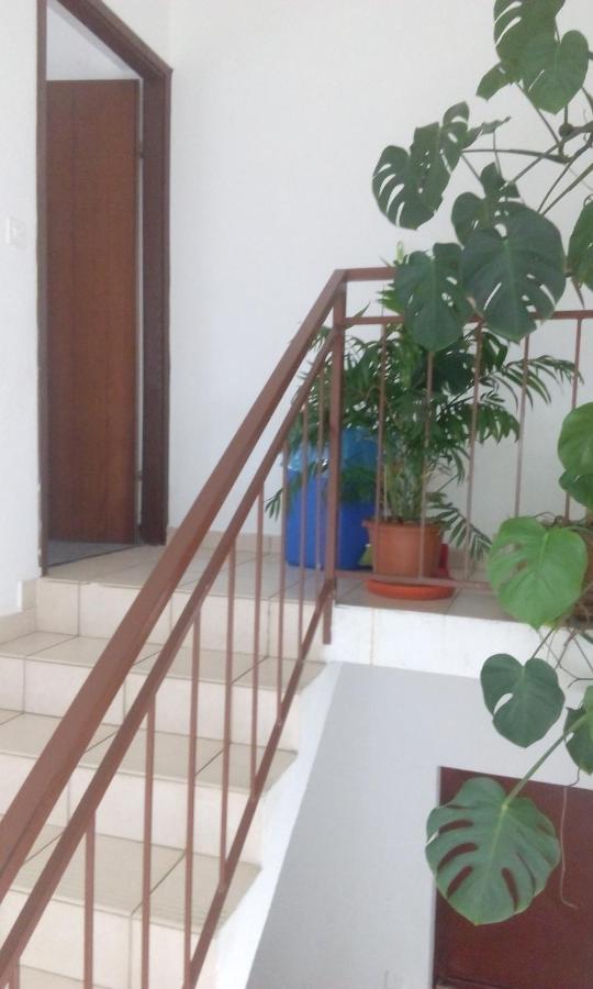 Ivan Starigrad Paklenica Exterior foto